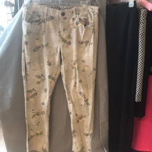 Timmy Hilfiger Jeans